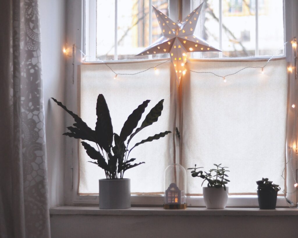 white star decoration with holiday lights in window with plants