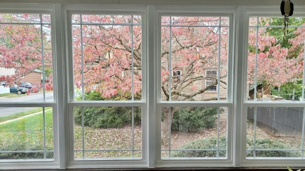 new windows on cleveland home